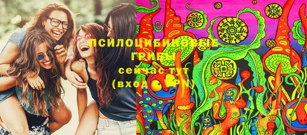 синтетический гашиш Алексеевка