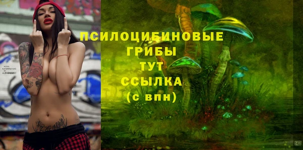 2c-b Арсеньев