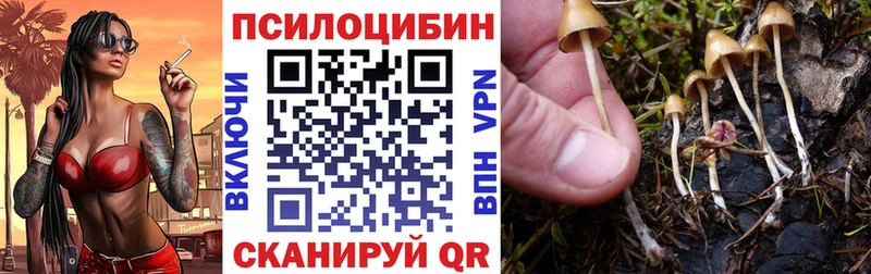Купить закладки  Камень-на-Оби  Псилоцибиновые грибы ЛСД 